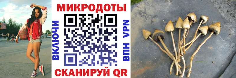 Псилоцибиновые грибы Psilocybe Белинский