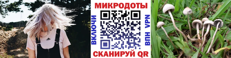 Псилоцибиновые грибы Psilocybine cubensis  Белинский 